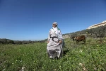 نبض زندگی؛ زنان فلسطینی در کرانه باختری 2