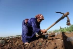 نبض زندگی؛ زنان فلسطینی در کرانه باختری 3