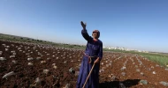 نبض زندگی؛ زنان فلسطینی در کرانه باختری 7