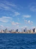 نبض زندگی در یافا 4