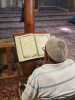 نبض زندگی در یافا 14