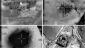 Israel admits to launching military attack on Syria in 2007, warns region of more