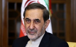 Velayati: War crimes in Gaza reveals true face of Infant-killer regime