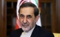 Velayati: War crimes in Gaza reveals true face of Infant-killer regime