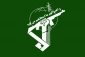 IRGC vows to spare no efforts to help Palestinians