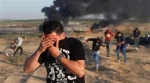 باريس تشدد على حق الفلسطينيين في التظاهر السلمي 

فرنسا: على إسرائيل حماية المدنيين الفلسطينين وحقهم في التظاهر السلمي
 2