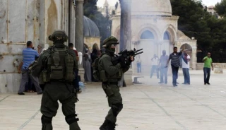 القدس: اعتقالات وقرابين واقتحامات يومية للأقصى