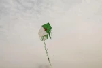 چهارمین راهپیمایی بزرگ بازگشت با عنوان جمعه شهدا و اسرا 18