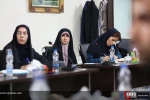 نشست ,سوریه افق آینده, فرصت ها و چالش ها 6