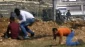 إسرائيل تعلن مضاعفة عدد جنودها قرب غزة وفي الضفة خوفا من تظاهرات محتملة للفلسطينيين

تظاهرات بـ46 دولة بالتزامن مع نقل سفارة واشنطن للقدس