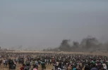 مليونية العودة 8