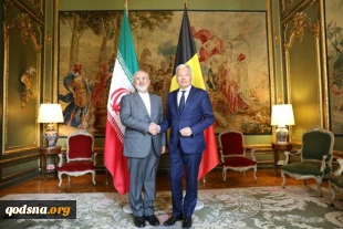 دیدار ظریف با وزیر خارجه بلژیک در بروکسل 2