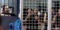 وزیر امنیت داخلی رژیم صهیونیستی:

اسیران فلسطینی از مشاهده جام جهانی محروم شدند