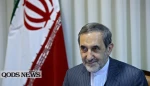 Iran to preserve missile power despite US pressures: Velayati 2