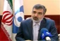 سخنگوی سازمان انرژی اتمی:

تولید گاز UF۶ و UF۴ و ساخت «کارخانه روتور» سانتریفیوژ را آغاز می‌کنیم