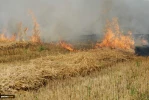 Gaza's crushing response Fire Kites, grounded the occupiers 4
