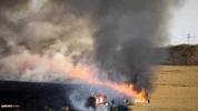 Gaza's crushing response Fire Kites, grounded the occupiers 5