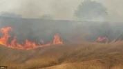 Gaza's crushing response Fire Kites, grounded the occupiers 13