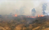 Israel Kurang Mampu Bertahan Diri dari Serangan Layang-layang Api Rakyat Palestina/ Album2 7