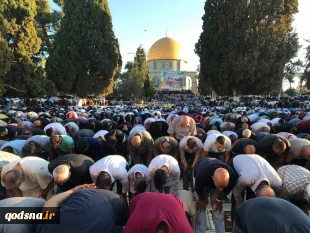 به مناسبت روز عید فطر:

غزه و فلسطین شاهد برگزاری پر شکوه عید فطر بود+عکس 6