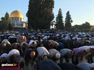 به مناسبت روز عید فطر:

غزه و فلسطین شاهد برگزاری پر شکوه عید فطر بود+عکس 7