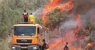 منابع فلسطینی خبر دادند:

حمله موشکی اسرائیل به نوار غزه 5