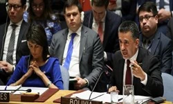 سخنرانی آتشین نماینده بولیوی در حمایت از فلسطین؛

منازعه فلسطین، مساله اشغال غیرقانونی و سرکوب است/ اسرائیل به طور غیرمستقیم دارای حق وتو است