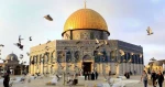Di Masjid al-Aqsha, Burung-burung Berkicau Tak Pernah Kelaparan 2