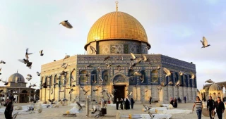 Di Masjid al-Aqsha, Burung-burung Berkicau Tak Pernah Kelaparan