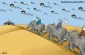 سپاه ابرهه