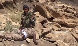 شبکه المسیره گزارش داد: 

تعدادی از عناصر شبه نظامی وابسته به ائتلاف سعودی از پای درآمدند