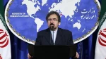 FM Spox: Islamic nations will eventually eliminate Israeli apartheid 2