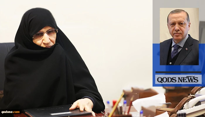 SDPN Secretary General urges OIC Head 2
