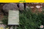 حزب الله ينشر صوراً لـ "سرب"من الطائرات المسيرة التي يمتلكها
 3