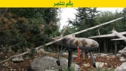 حزب الله ینشر صوراً لـ "سرب"من الطائرات المسیرة التی یمتلکها
 13