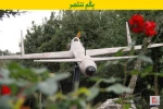 حزب الله ینشر صوراً لـ "سرب"من الطائرات المسیرة التی یمتلکها
 21