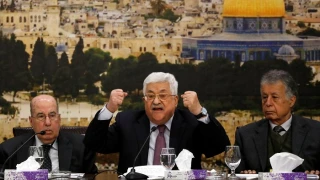 آیا عرصه داخلی فلسطین تحولات جدیدی را تجربه می کند؟

پیوستن سه گروه مهم فلسطینی به حماس و جهاد اسلامی در تحریم نشست شورای مرکزی/ جنبش فتح در بدترین دوران تاریخ سیاسی خود/ سازمان آزادیبخش مشروعیت خود را دست داده است