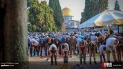 Solat Idul Adha di Masjid al-Aqsa 6