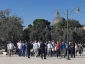 منابع فلسطینی امروز گزارش دادند:

یورش 1000 شهرک نشین صهیونیست به مسجدالاقصی در ادامه مراسم‎های عید عرش+ تصاویر