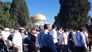 Puluhan Zionis Masuk ke Kompleks Masjid al-Aqsa