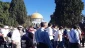 Puluhan Zionis Masuk ke Kompleks Masjid al-Aqsa