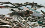 Foto: Bencana Gempa Bumi dan Tsunami di Palu - Sulawesi 12