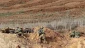 Sniper Rezim Zionis Tembak Kaki Remaja Palestina