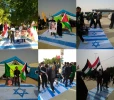 شور رهایی قدس در آیینه شکوه راهپیمایی اربعین 35