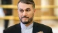 عبداللهيان: الحكم بالمؤبد على الشيخ سلمان مؤشر لحكومة الرعب بالبحرين