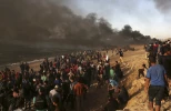 المسير البحري الـ14 شمال قطاع غزة 10