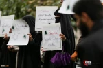 وقفة تضامنية مع مسلمي نيجيريا في العاصمة الإيرانية 10