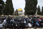 نماز جماعت باشکوه مسجدالاقصی 2