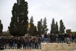 نماز جماعت باشکوه مسجدالاقصی 3