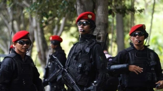 Setelah Penyerangan di Papua, Lima Orang Masih Hilang